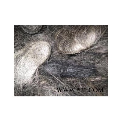 河南地區回收鉬合金,鉬絲